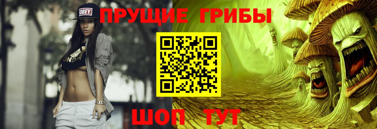 Псилоцибиновые грибы Psilocybe Лысьва